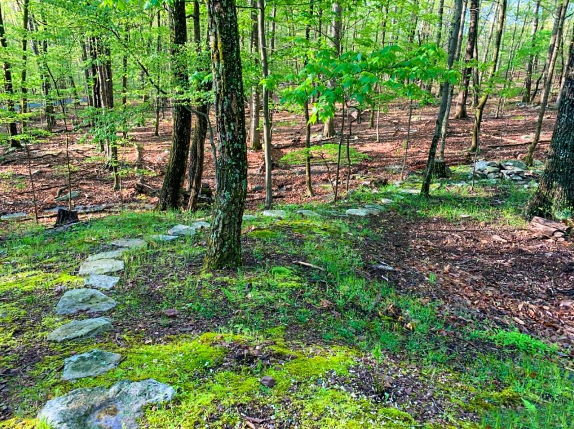 Chalet W Hot Tub, Large Deck, Grill, & Fast Wifi Berkeley Springs Exterior foto